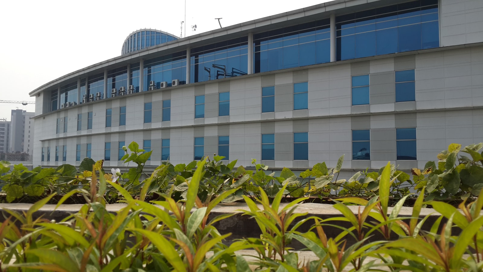 ITS Surabaya campus — Department of Information Systems building amid tropical landscaping